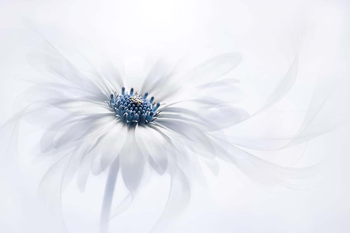 Motive Image