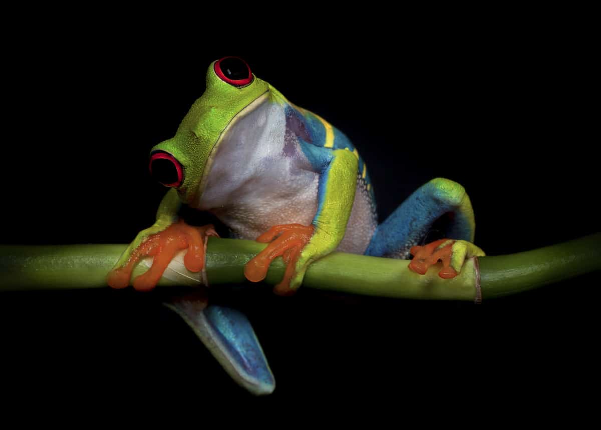 Motive Image