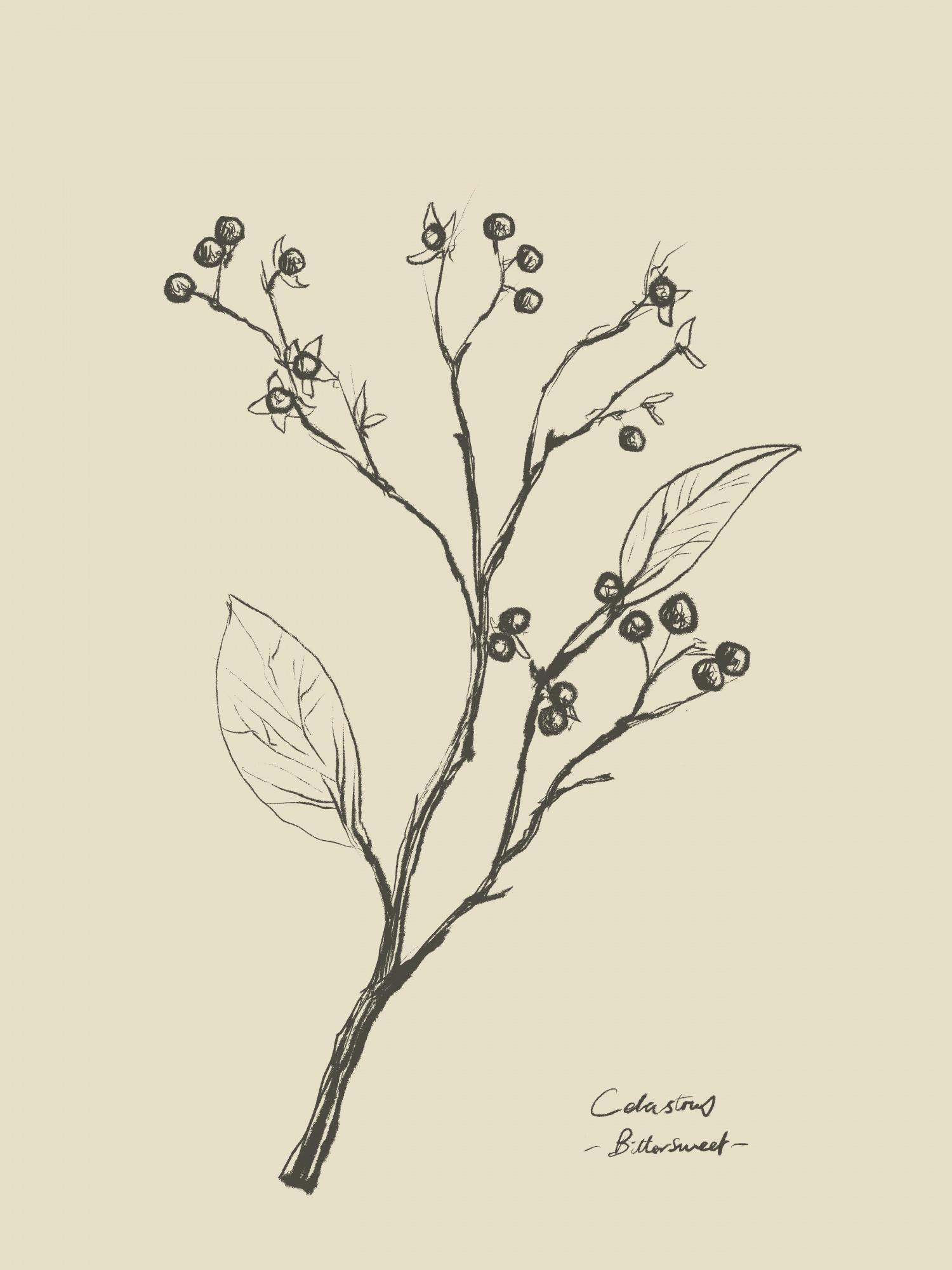 motive-image