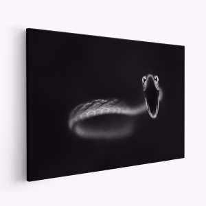 Toile - Vine Snake Strike