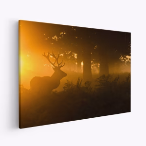 Toile - Stag in the mist