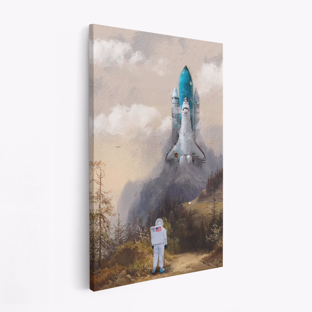 Toile - Missed the Shuttle