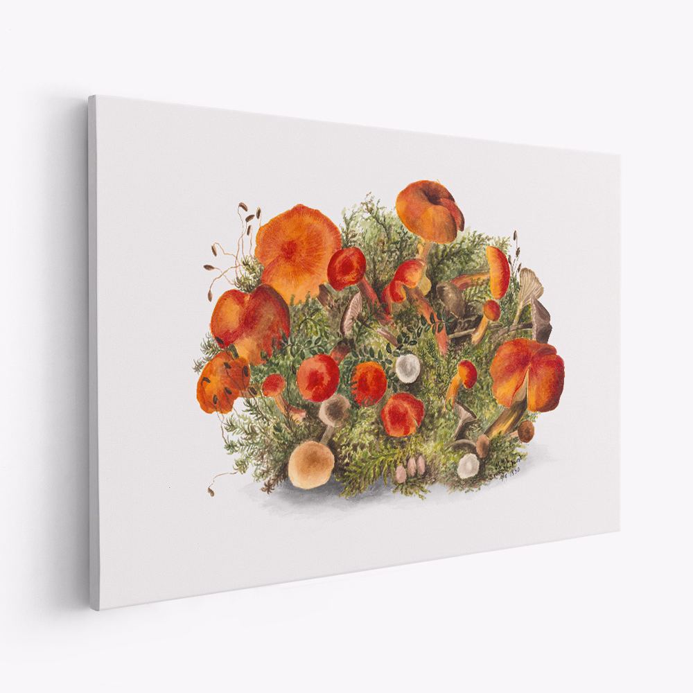 Toile - Study of Mushrooms (1880) Horizontal