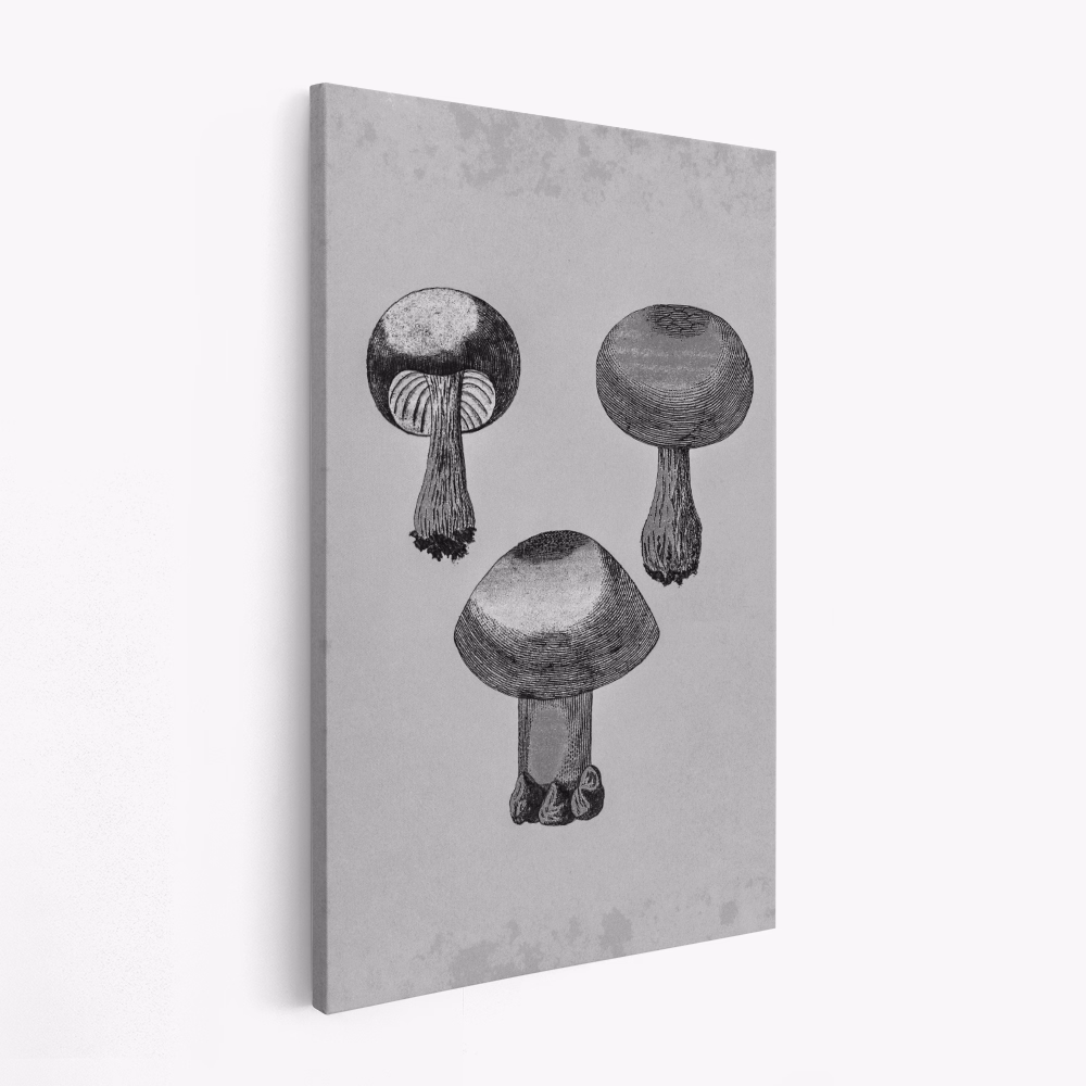 Toile - Violet Webcap Mushroom