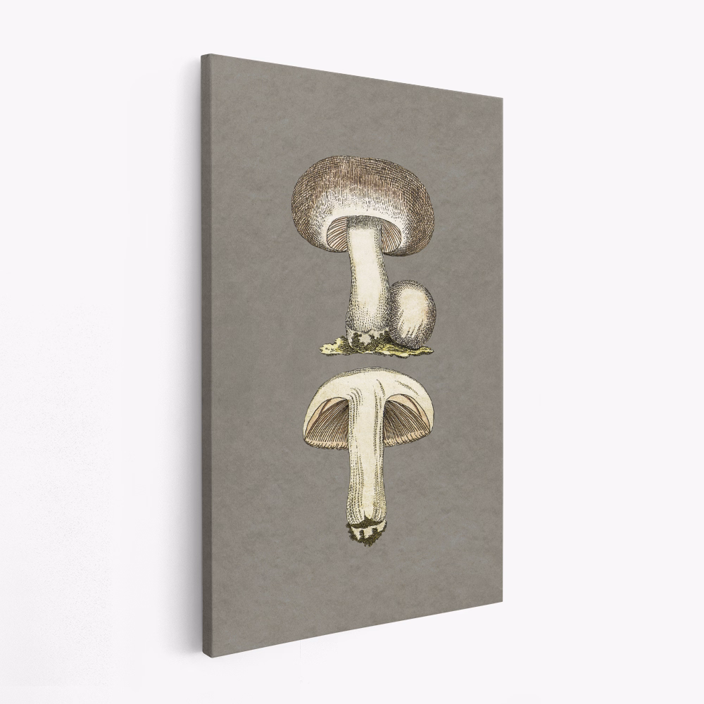 Toile - Field Mushroom