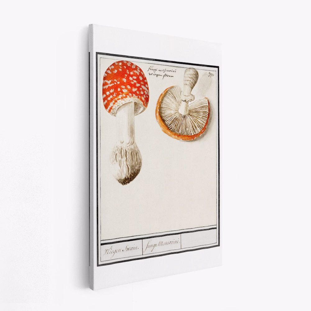 Toile - Fly Agaric, Amanita Muscaria