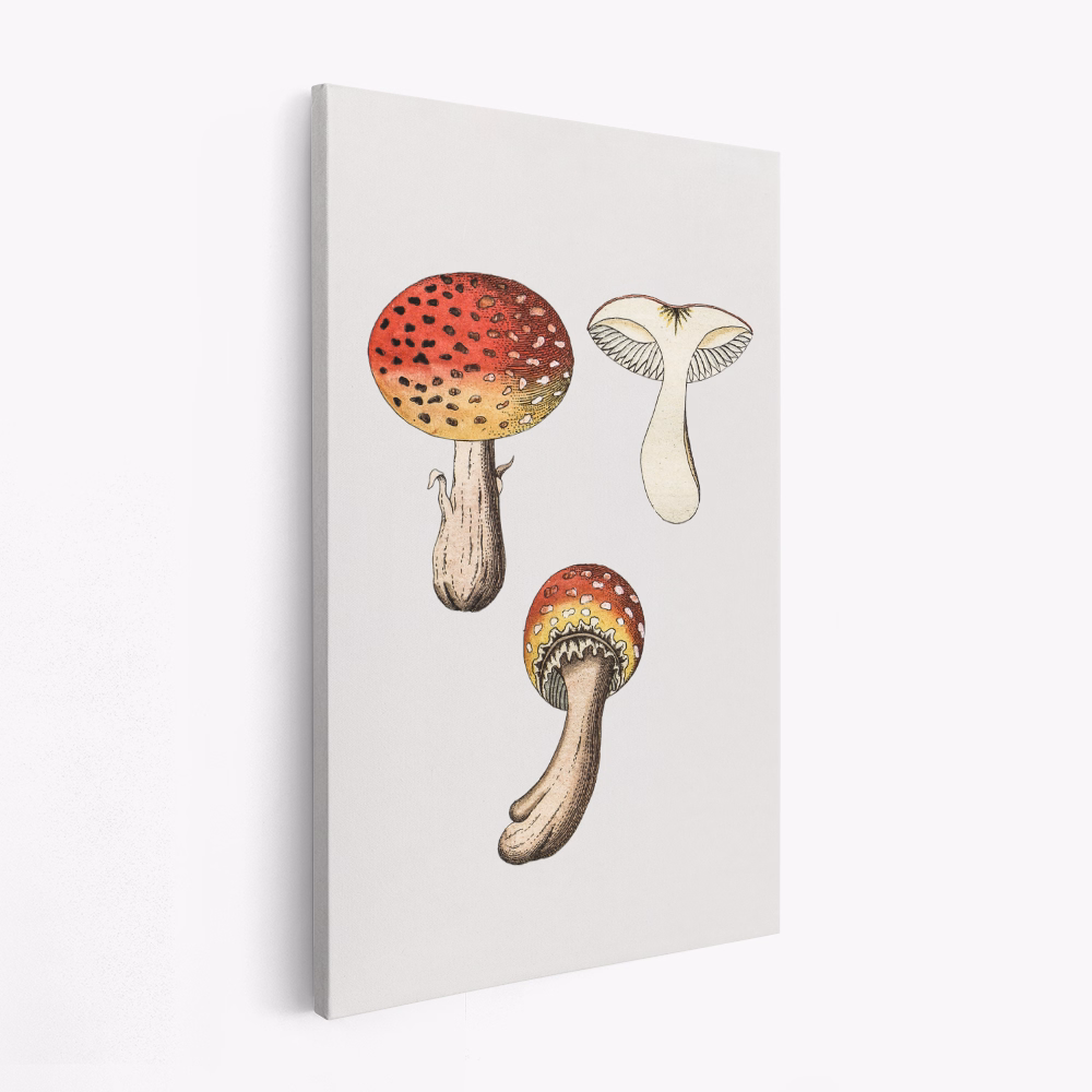 Toile - Hand Drawn Fly Agaric Mushroom