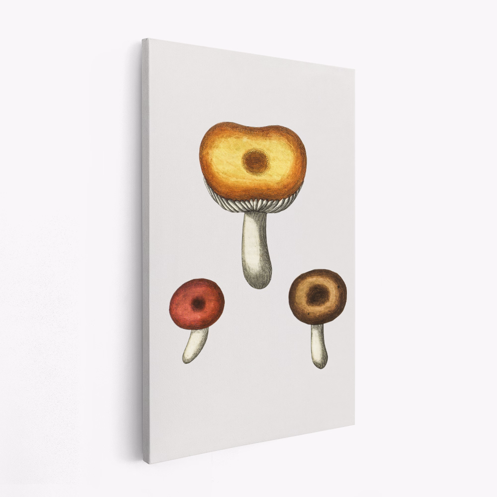 Toile - Hand Drawn Galerina Mushroom