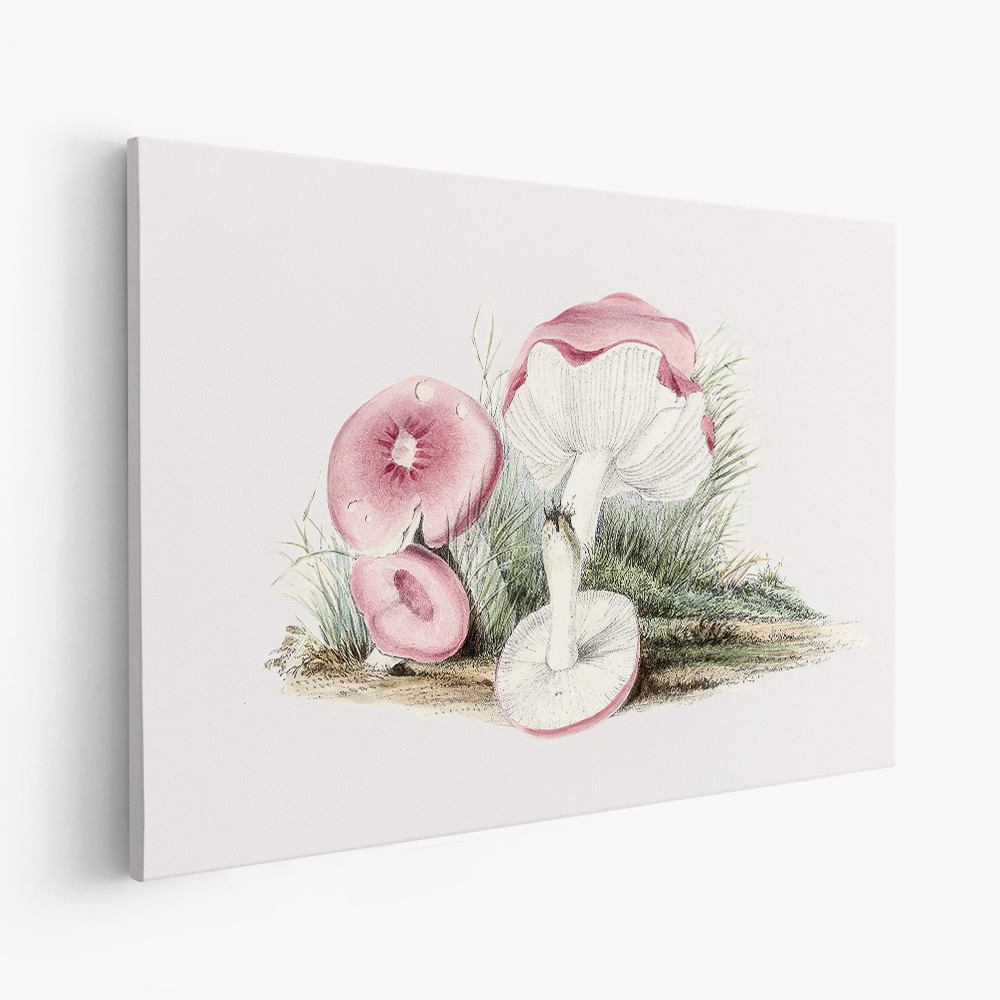 Toile - Vintage Russula Emetica Mushroom